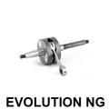 JASIL - Albero Motore Racing APRILIA/DERBI/GILERA/PIAGGIO LIBERTY 50cc