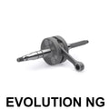 JASIL - Albero Motore Racing MINARELLI AM4/AM5/AM6 - Perni di Banco 20/20mm