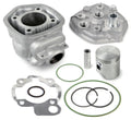 AIRSAL - Trasformazione Motori MINARELLI AM3/AM4/AM5/AM6 in Ghisa, Ø 48mm