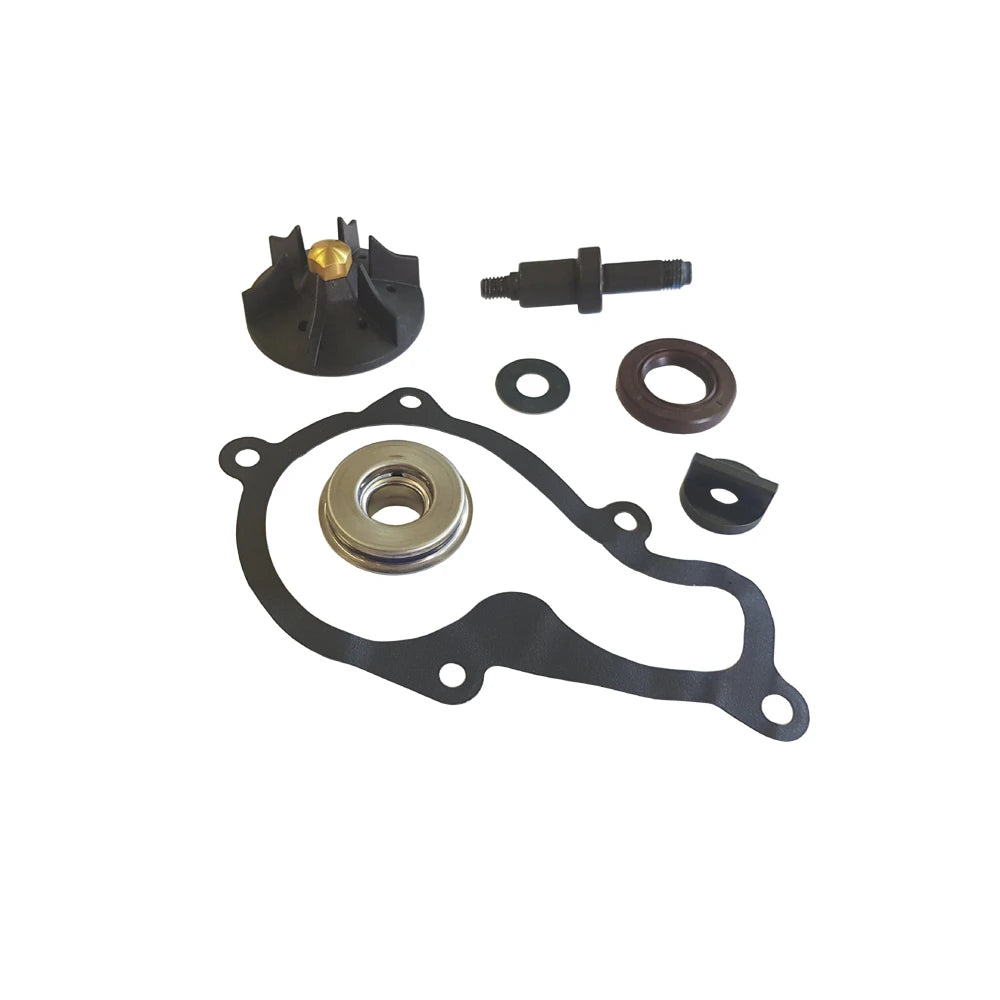 BCR - Kit Revisione Pompa Acqua PIAGGIO BEVERLY 350 cc
