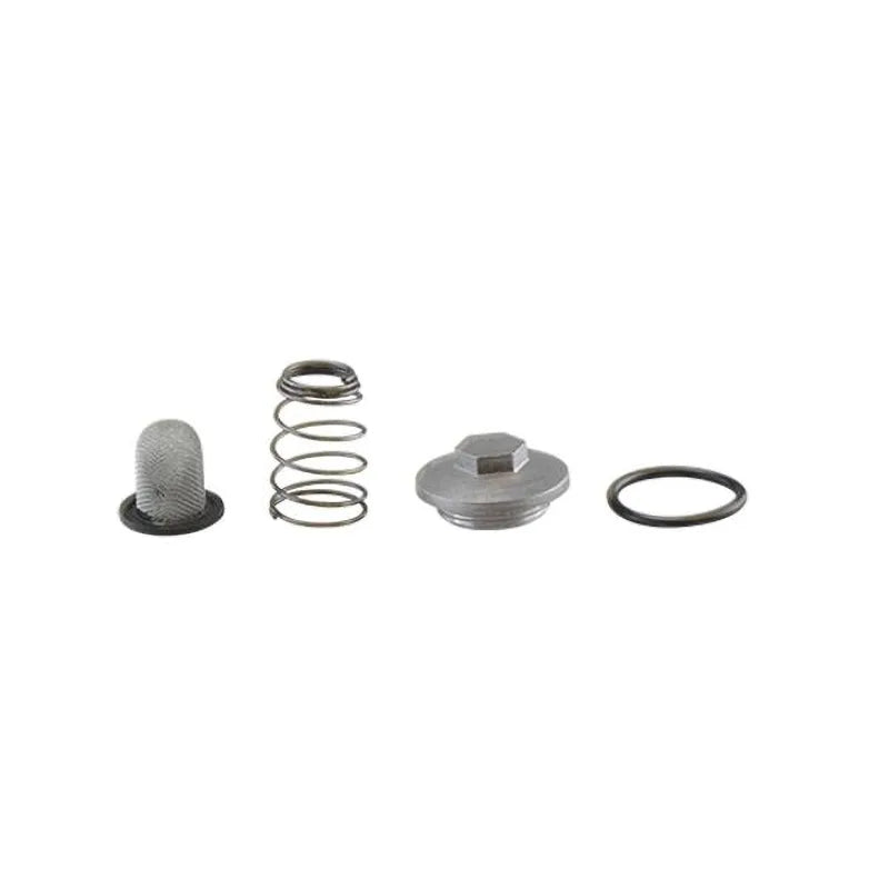HOKIO - Filtro Olio Reticella Completo HONDA/KYMCO 4T - M30x1,5mm
