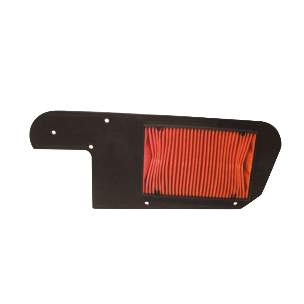 HOKIO - Filtro Aria HONDA FORESIGHT /PIAGGIO X9 250cc
