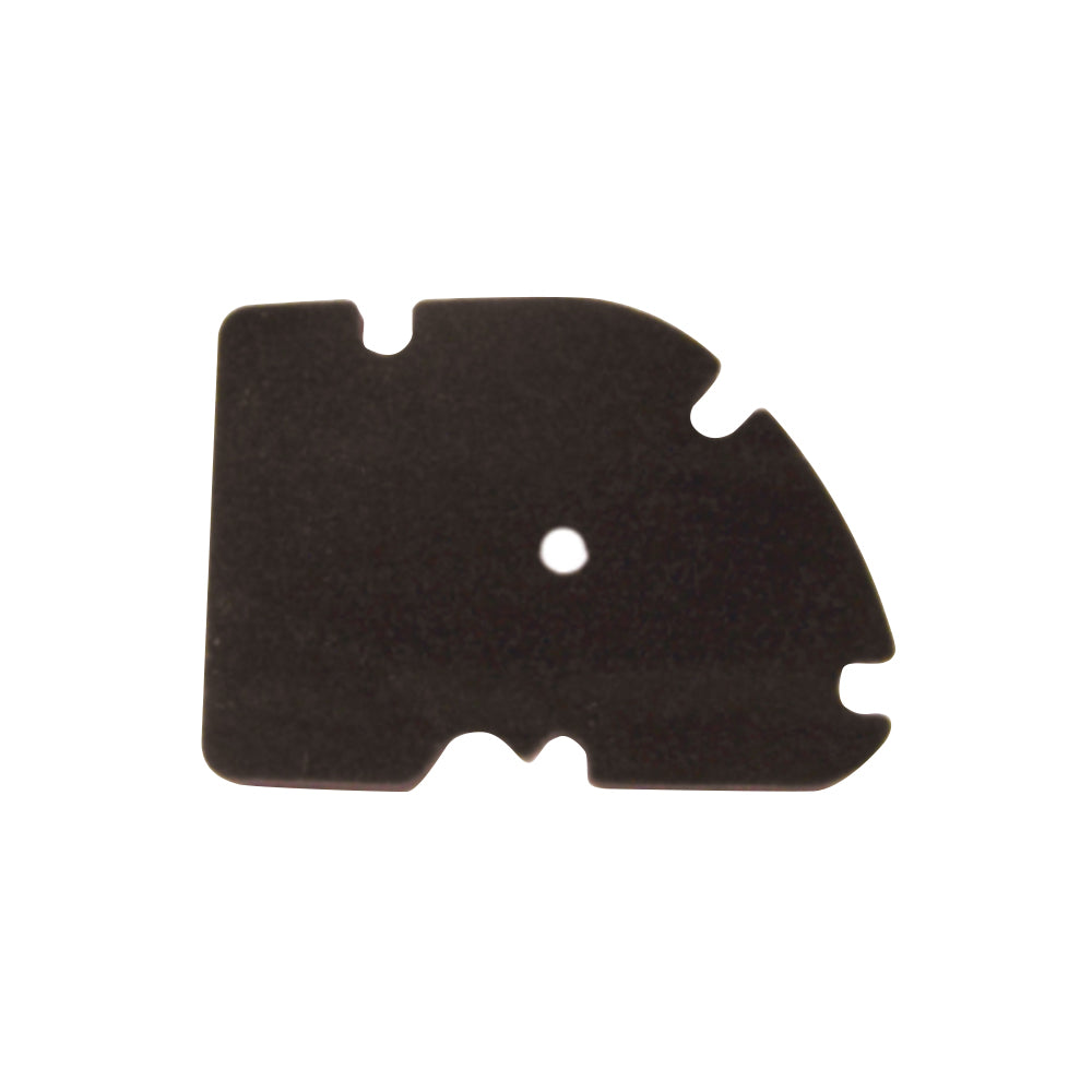 HOKIO - Filtro Aria PIAGGIO X8 250cc/PIAGGIO VESPA GTS/GTV 250/300cc