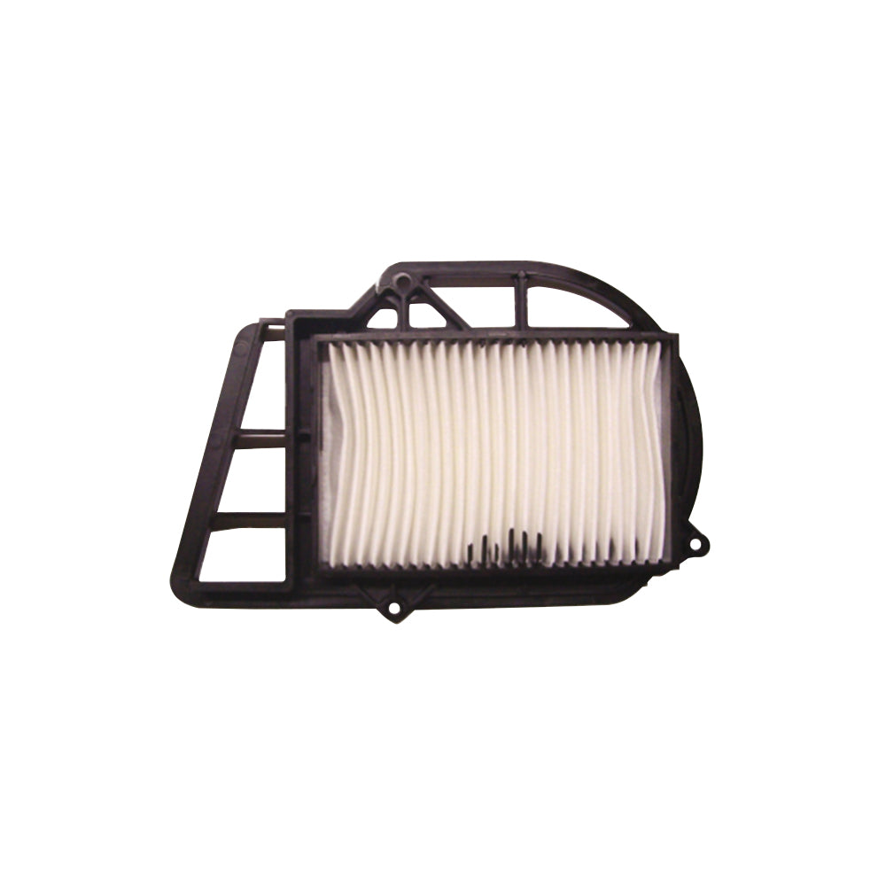 HOKIO - Filtro Aria (Variatore) MALAGUTI/MBK SKYLINER/YAMAHA X-MAX 250cc