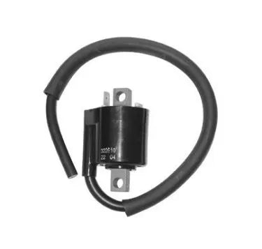 DUCATI ENERGIA - Bobina Accensione Esterna APRILIA/HUSQVARNA/MALAGUTI/MBK/YAMAHA 50cc