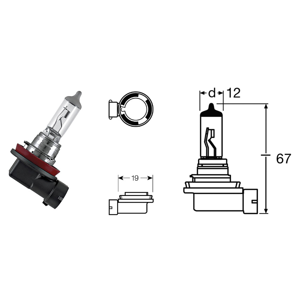 BCR - Lampada H11 12V-55W / PGJ19-2