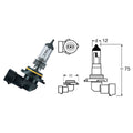 OSRAM - Lampada HB4 12V-51W / P22D