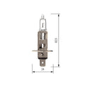 BOSMA - Lampada H1 P14,5S 12V 55W