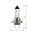 BOSMA - Lampada H7 PX26D 12V 55W