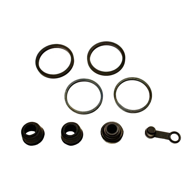 BLAST - KIT Revisione Pinza Freno Posteriore HONDA GOLDWING 1500 [BCF-108]