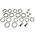 BLAST - KIT Revisione 2 Pinze Freno Anteriore SUZUKI BANDIT 650 [BCF-318] CP