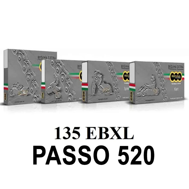 REGINA - Catena 135EBXL 110 Maglie Passo 520 - Nero