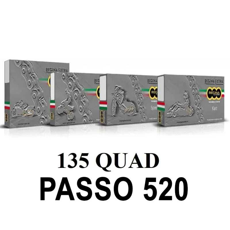 REGINA - Catena 135QUAD 96 Maglie Passo 520 - Oro