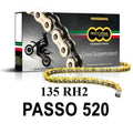 REGINA - Catena 135RH2 120 Maglie Passo 520 - Oro