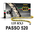 REGINA - Catena 135RX3 120 Maglie Passo 520 - Oro