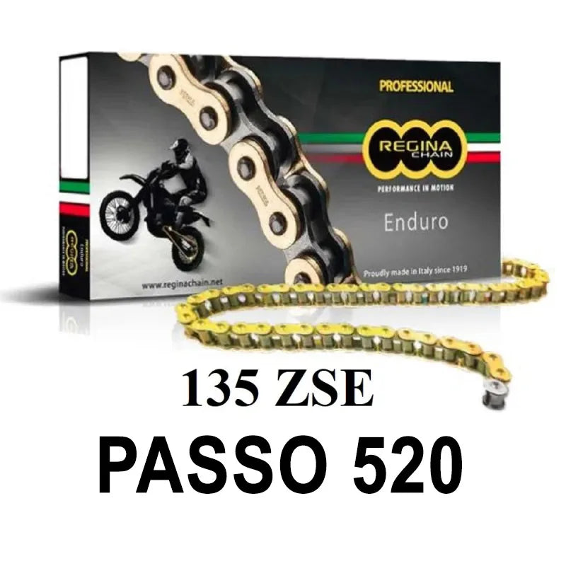 REGINA - Catena 135ZSE 116 Maglie Passo 520 - Oro