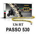 REGINA - Catena 136RT 110 Maglie Passo 530 - Oro