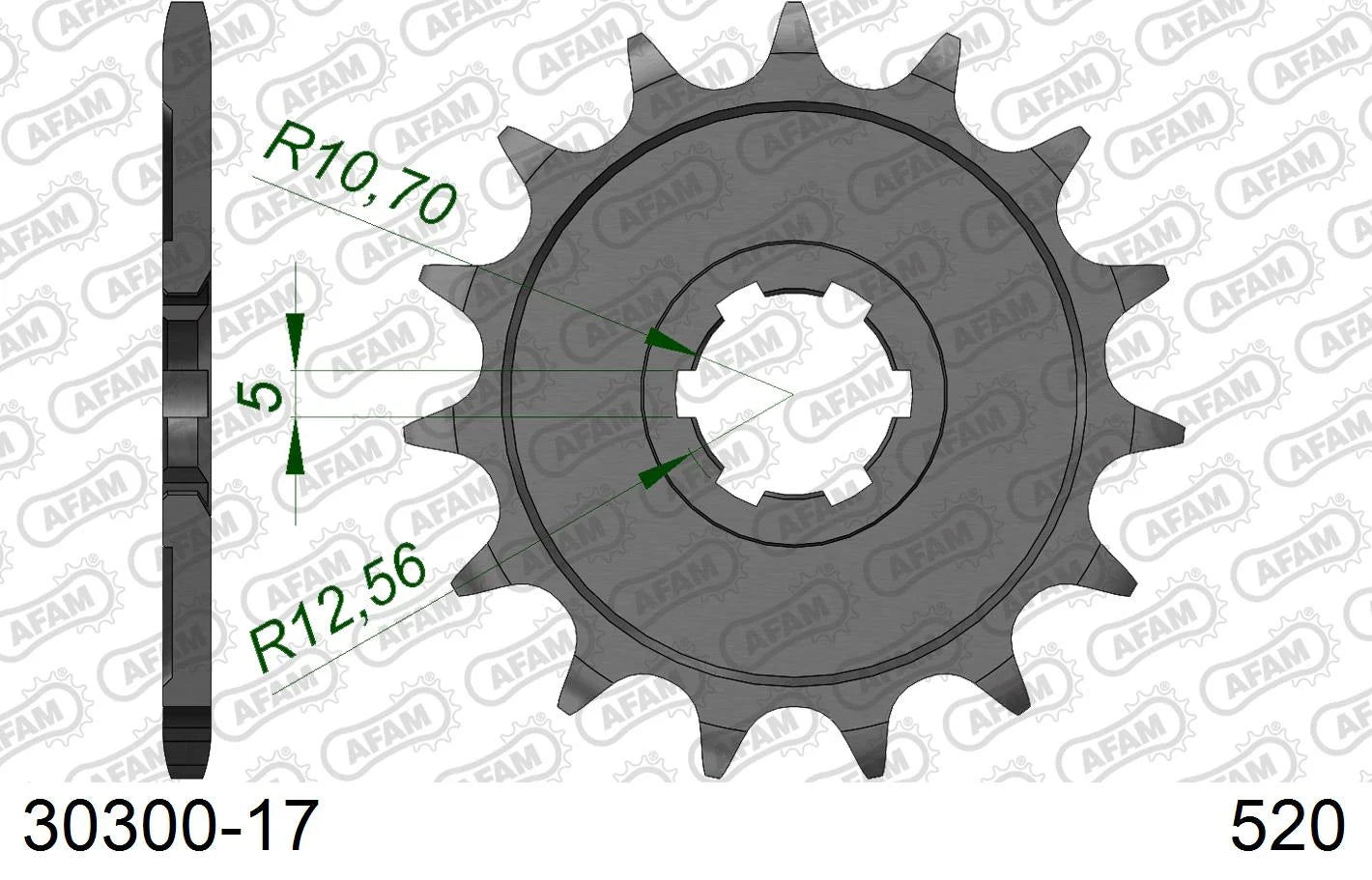 AFAM - Pignone AFAM 30300-17 Passo 520
