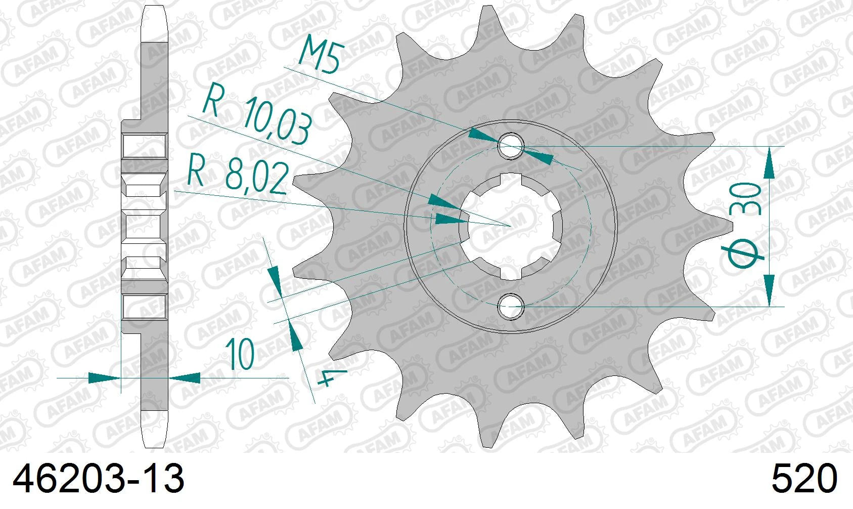AFAM - Pignone AFAM 46203-13 Passo 520