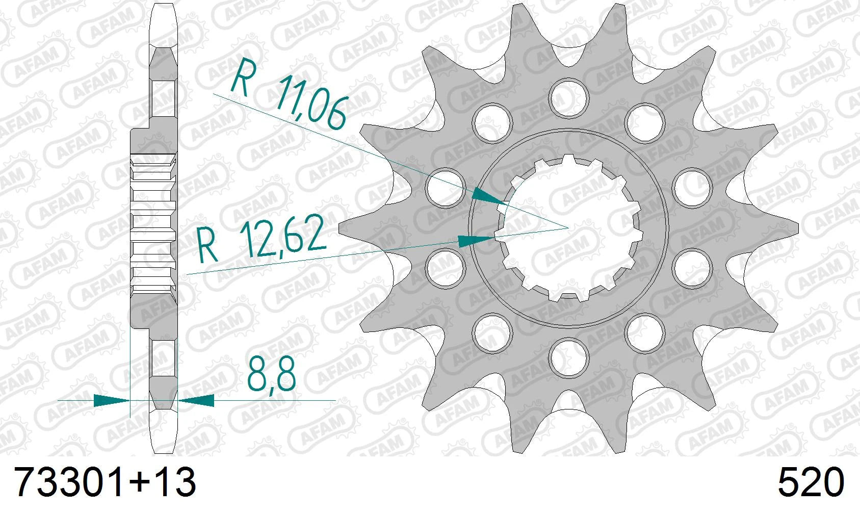 AFAM - Pignone AFAM 73301+13 Passo 520