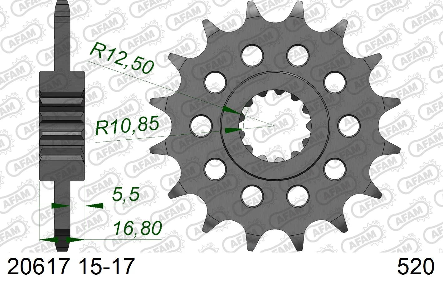 AFAM - Pignone AFAM 20617NR-16 Passo 520 con Gomma Antirumore