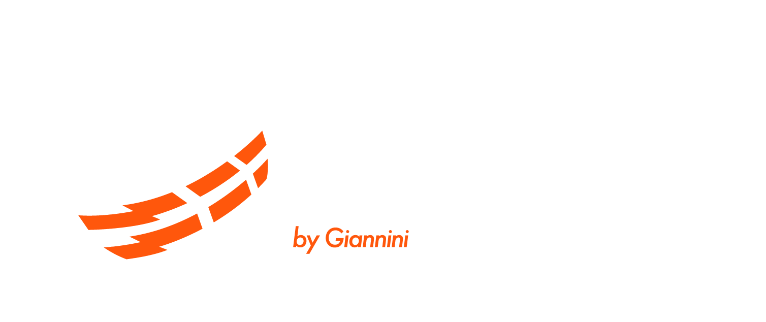 Evolution Motorcycle