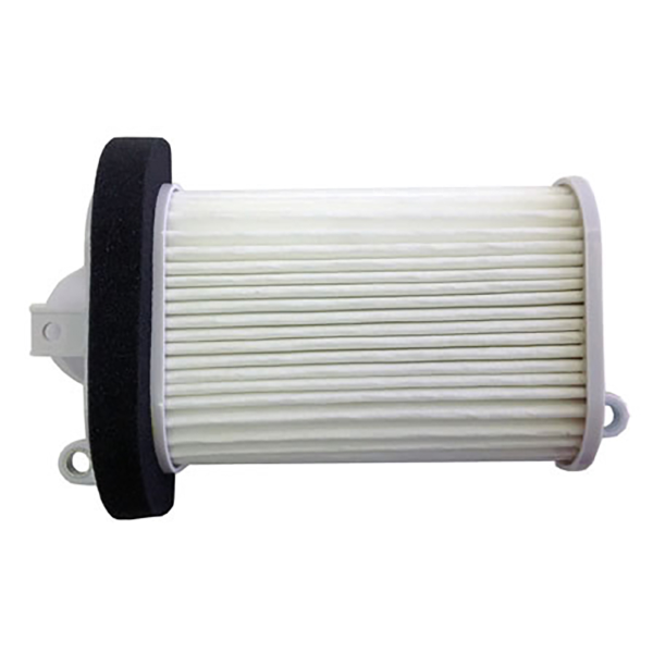 Filtro Aria Champion CAF3508