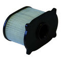 Filtro Aria Champion Y334