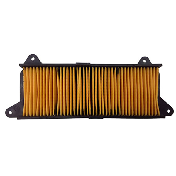 Filtro Aria Champion CAF0117
