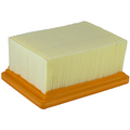 Filtro Aria Champion CAF6604