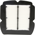 Filtro Aria Champion CAF2612