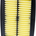 Filtro Aria Champion CAF2621