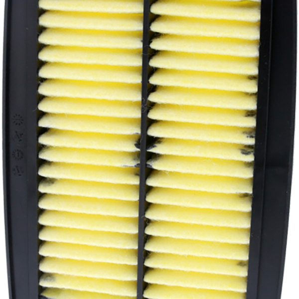 Filtro Aria Champion CAF2621