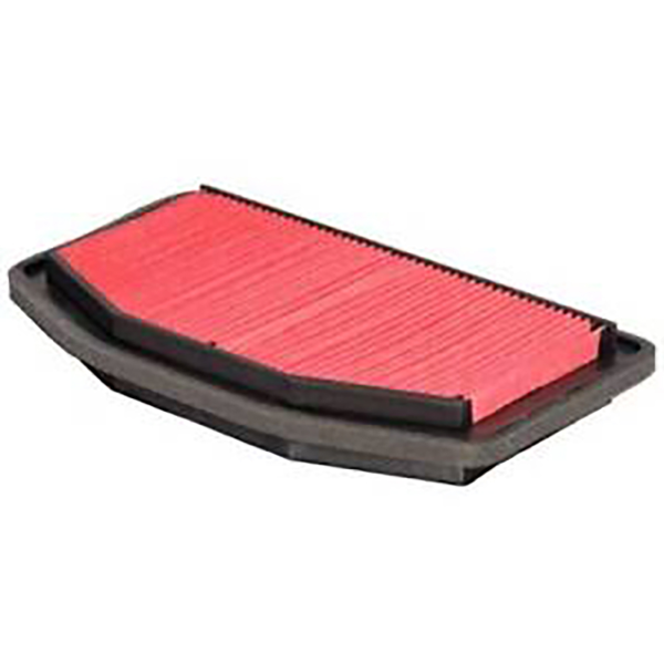Filtro Aria Champion CAF3923
