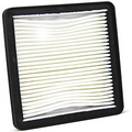 Filtro Aria Champion CAF3302