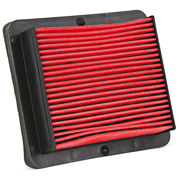 Filtro Aria Champion CAF3511