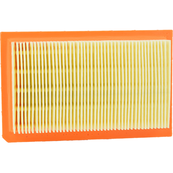 Filtro Aria Champion CAF5112