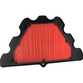 Filtro Aria Champion CAF1924
