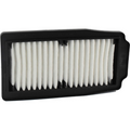 Filtro Aria Champion CAF2202