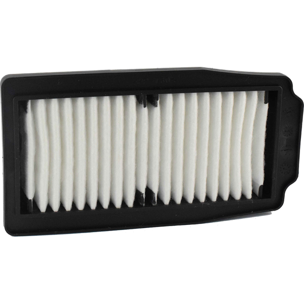 Filtro Aria Champion CAF2202