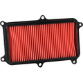 Filtro Aria Champion CAF4016