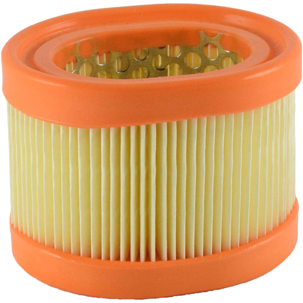 Filtro Aria Champion CAF4108
