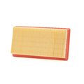 Filtro Aria Champion CAF9000