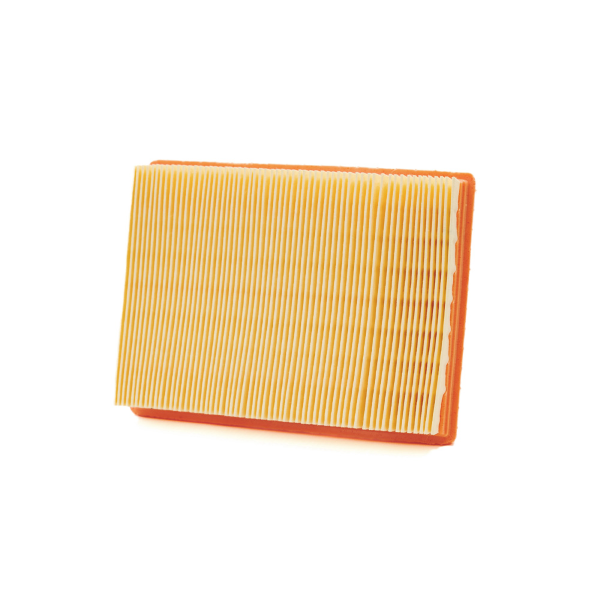 Filtro Aria Champion CAF9001