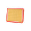 Filtro Aria Champion CAF9002