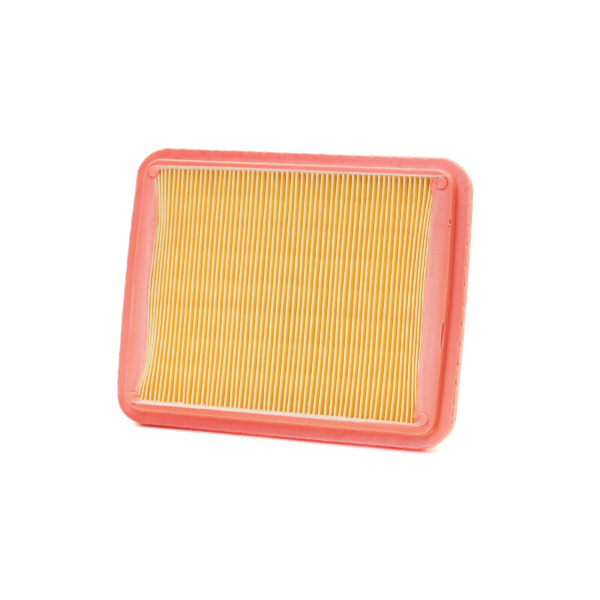 Filtro Aria Champion CAF9002