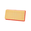 Filtro Aria Champion CAF9005