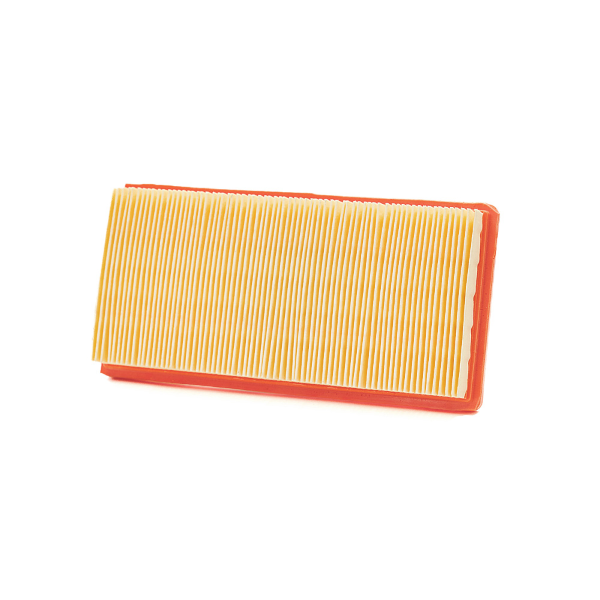 Filtro Aria Champion CAF9005