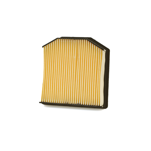 Filtro Aria Champion CAF9006