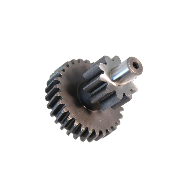 Ingranaggio Duplo Rinforzato z10 Denti Dritti z29 Denti Elicoidali Evok ciao-si-bravo con variatore 178696